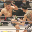 魔裟斗が堀口恭司の金太郎にダウンを喫したシーン分析、カウンターで被弾した原因を解説