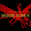 『BreakingDown14』（ブレイキングダウン14）