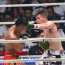 【RIZIN.15】全試合結果＝2019年4月21日